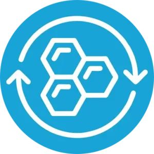 collagen Collagen Allograft