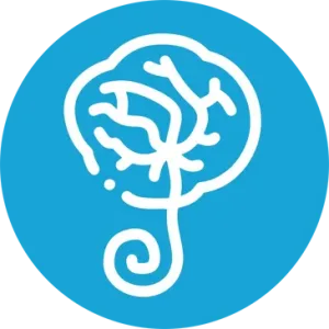 human-placenta Human Placenta Allograft